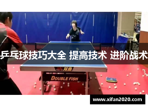 乒乓球技巧大全 提高技术 进阶战术